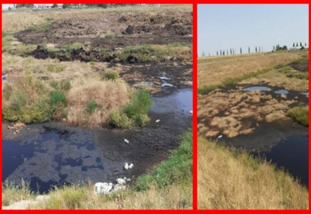 Fermă de păsări din Prahova amendată de Garda de Mediu din cauza unor nereguli privind dejecțiile