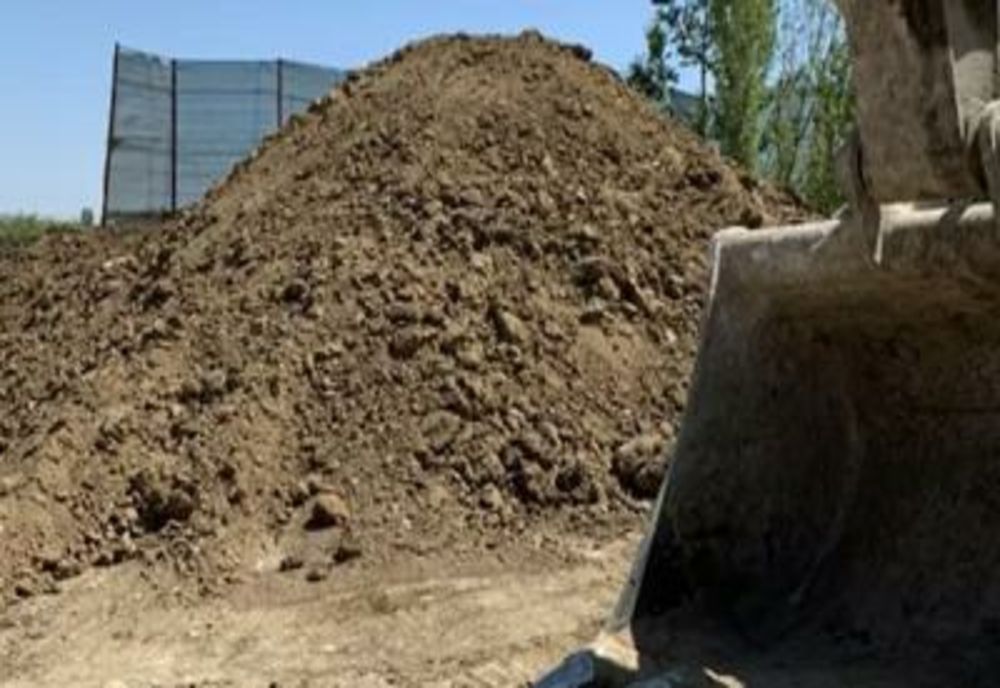 Inculpații din dosarul privind ecologizarea unui batal de la Vega, sub control judiciar 