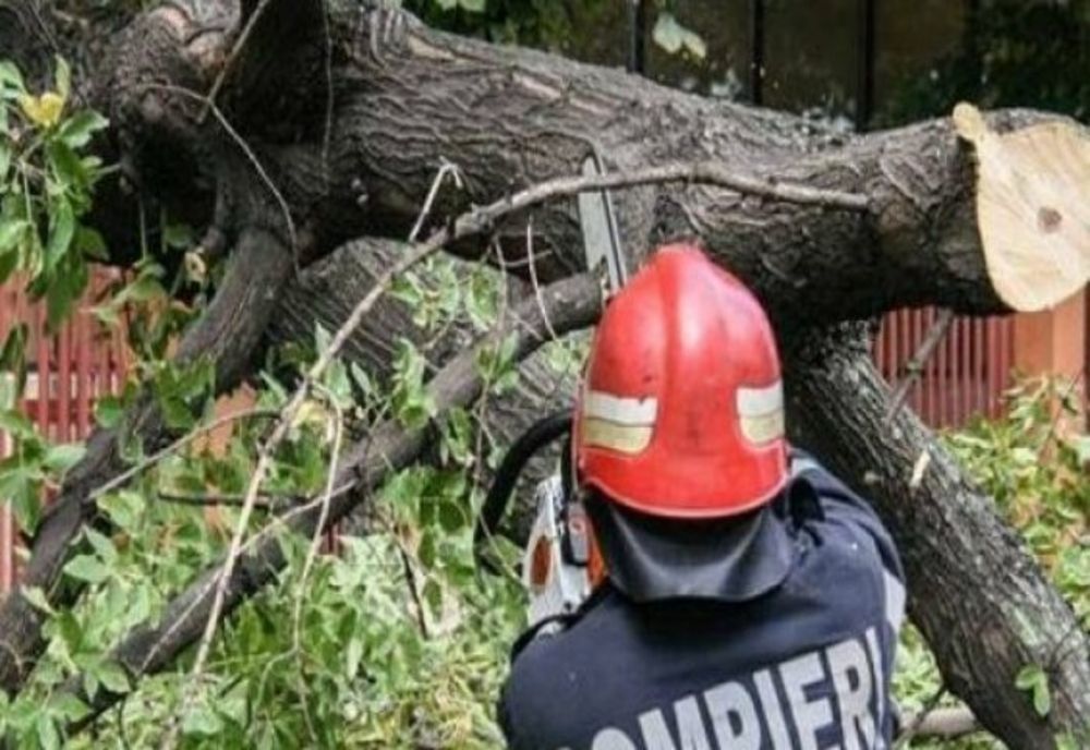 Copaci şi stâlpi doborâţi de zăpadă şi vânt, în mai multe localităţi din Prahova 