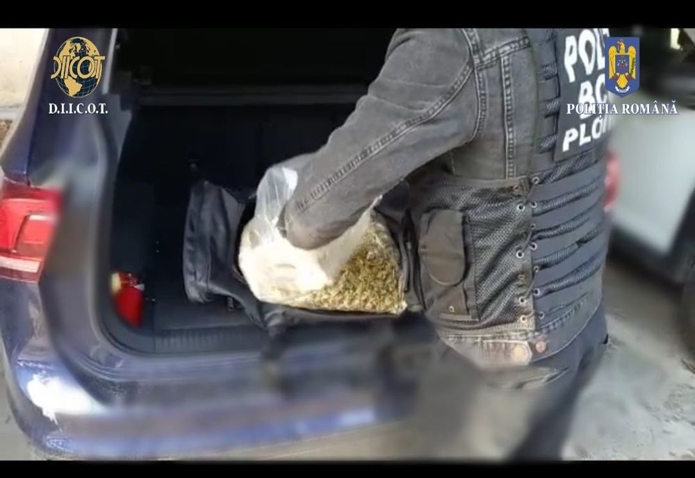 Percheziţii în Ploieşti la traficanţii de droguri