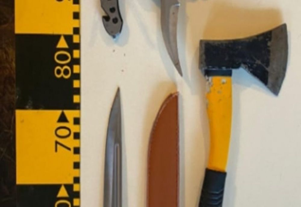 Prahova. Mandate de percheziţie la persoane bănuite de înşelătorie, tulburarea ordinii şi liniştii publice, ameninţare şi deţinere ilegală de arme