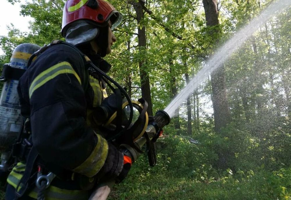 Exerciţiu de mare amploare a pompierilor prahoveni, în situaţia producerii unui incendiu la fondul forestier al Ocoalelor Silvice Doftana şi Câmpina.