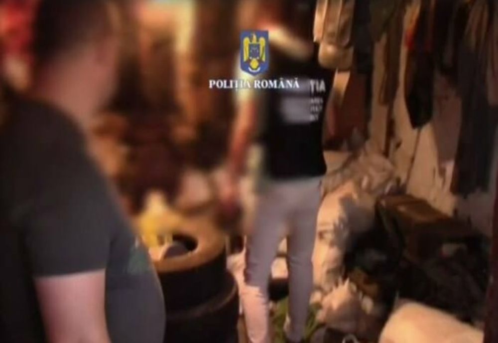 Percheziţii în Prahova la suspecţi de furt de arbori și fals informatic. 20 de persoane, duse la audieri