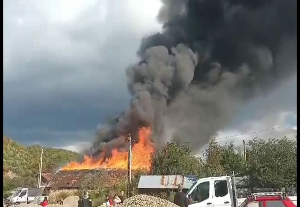 Prahova. Incendiu violent la Ocolul Silvic Măneciu