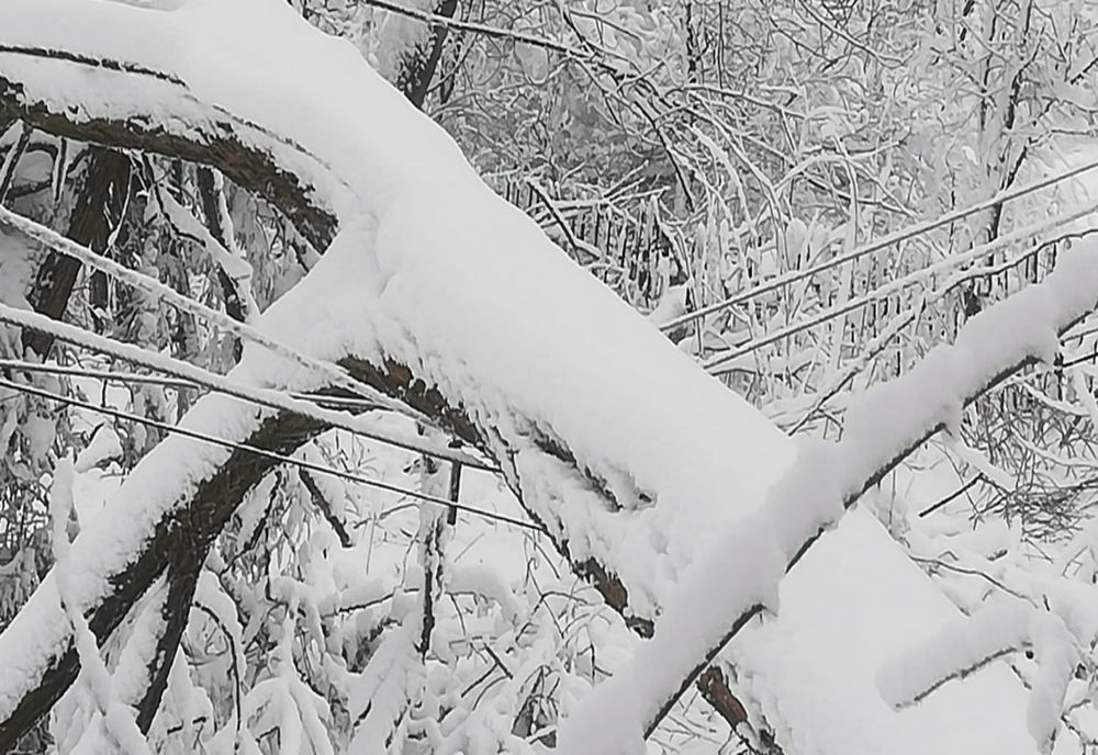 Prahova. Ce zone mai sunt afectate de avarii ale rețelelor de alimentare cu energie electrică