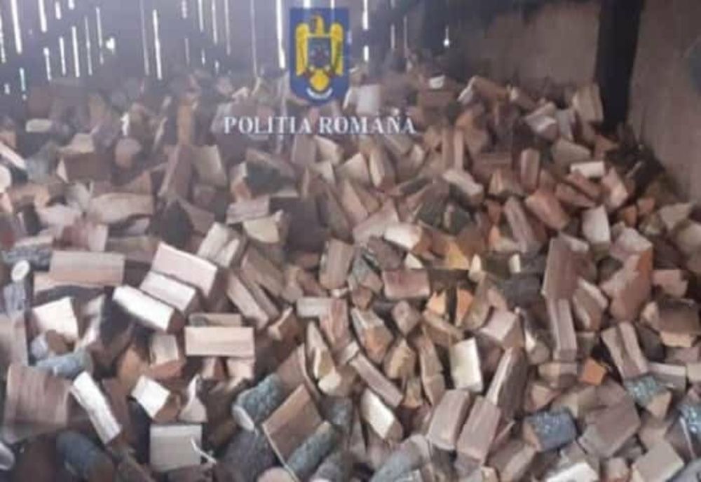 Percheziții într-o comună din Prahova, privind furturi de arbori. Cinci bărbați ar fi cauzat un prejudiciu de 16.000 de lei