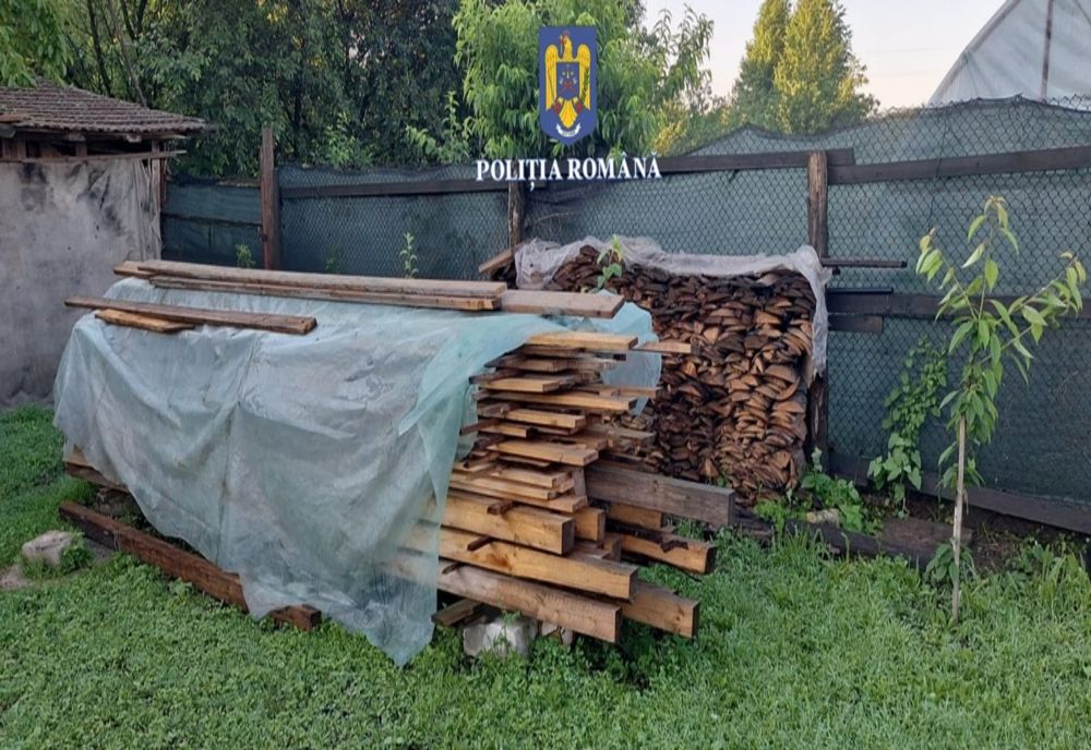 Percheziții în Prahova într-un dosar de tăiere ilegală de arbori. Nouă persoane, duse la audieri