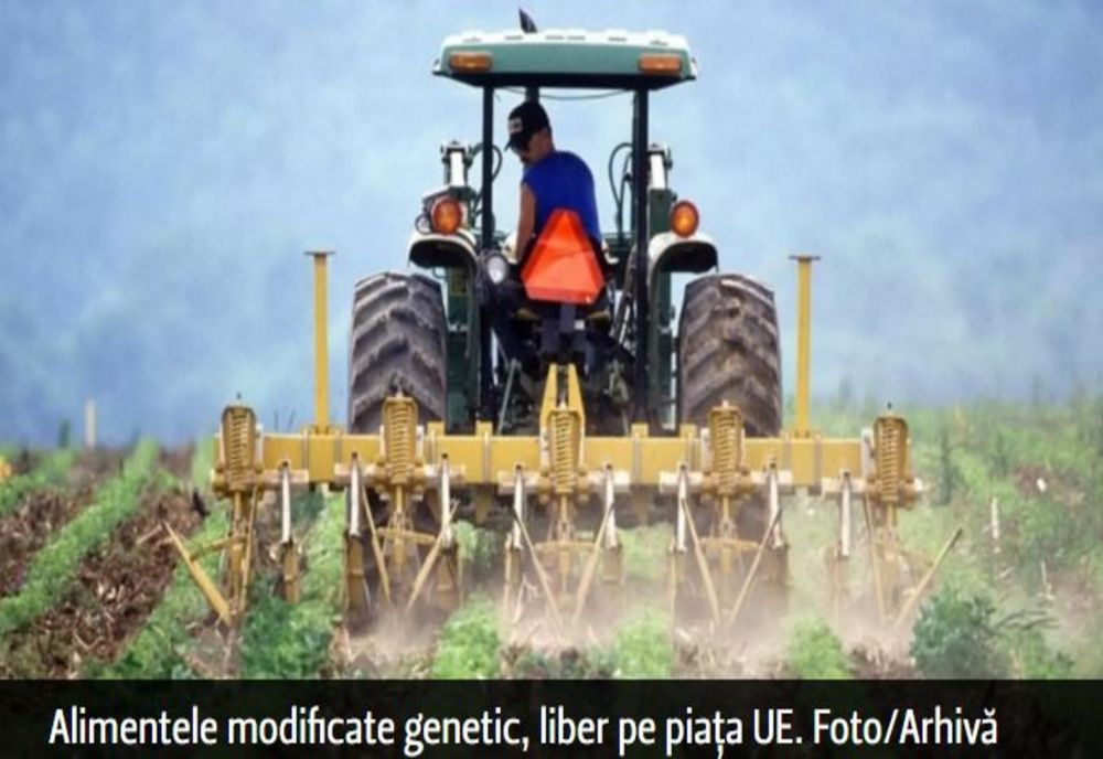 ALERTĂ! Liber la plantele modificate genetic. Nu vom mai face diferența între legumele adevărate și cele modificate