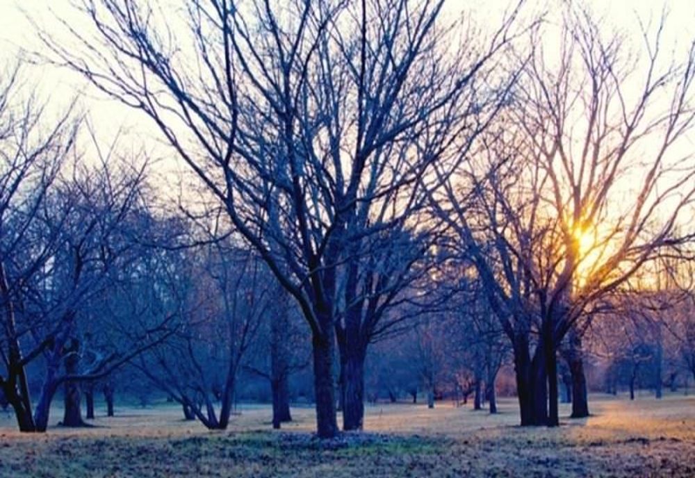 Prognoza meteo - Temperaturi de primăvară după ciclonul polar