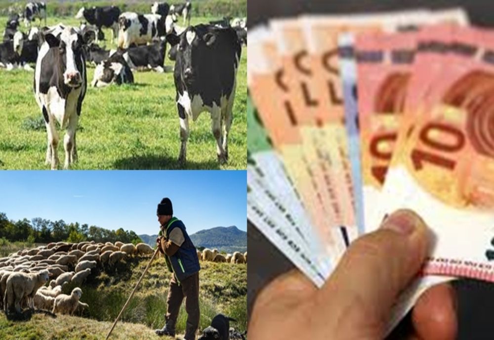 APIA: AJUTOR DE PESTE 39,7 MILIOANE LEI PENTRU CRESCĂTORII DE ANIMALE