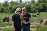 Premieră pentru România: 4 urși din Sanctuarul AMP Libearty pleacă spre o nouă viață în Franța