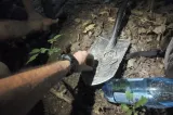 Tezaur antic descoperit în pădurea din Apostolache, Prahova