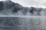 O femeie din Dâmbovița, găsită moartă în lacul Brebu