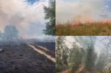Incendiu de vegetație la Podenii Noi: 30 de hectare afectate. Pompierii au intervenit în Valea Dulce