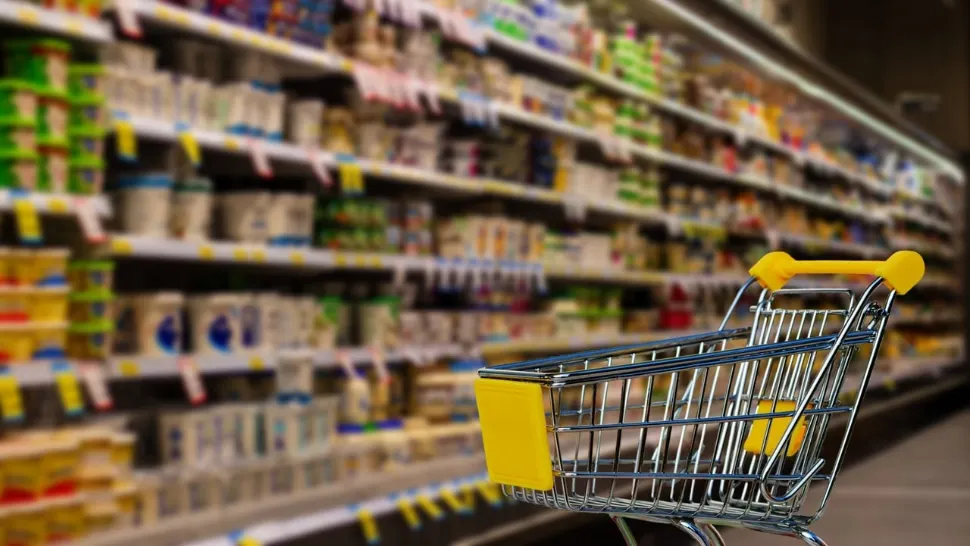 Schema de plafonare a adaosului comercial la produsele de bază