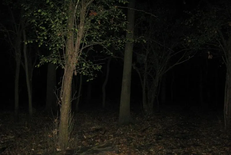 ghosts