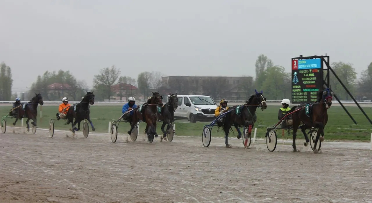 hipodromu4