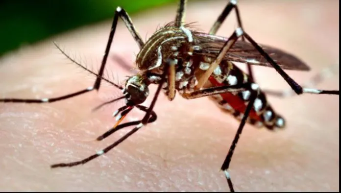 westnile