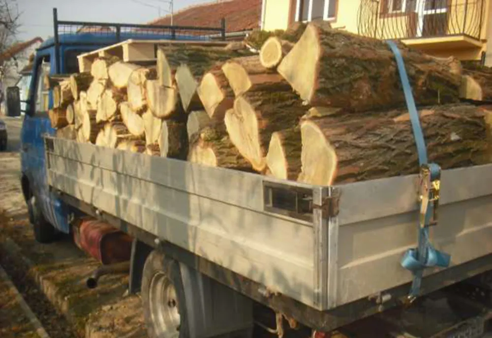 Bărbat din Filipeștii de Târg reținut de Poliție. Nu a putut dovedi proveniența lemnului pe care îl transporta