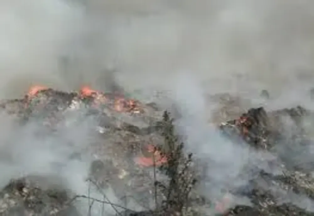 Decizie a Guvernului: Incendierea și îngroparea deșeurilor devin infracțiuni