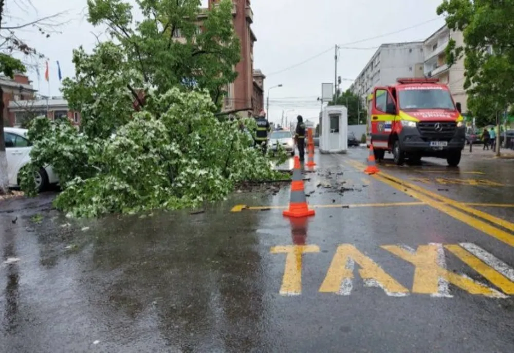 O femeie a fost rănită şi o maşină avariată, după ce un copac a căzut, în centrul Ploieştiului 