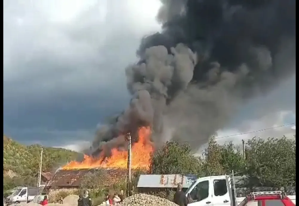 Prahova. Incendiu violent la Ocolul Silvic Măneciu
