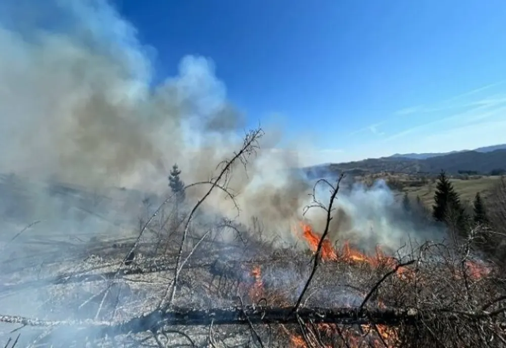 Prahova. Incendiu de vegetație uscată pe 10 hectare, în zona Comarnic