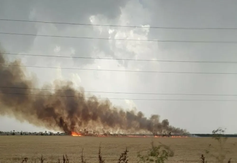 Incendiu puternic, pe DN 1, din cauza unui fulger. Traficul pe DN1, restricționat din cauza fumului