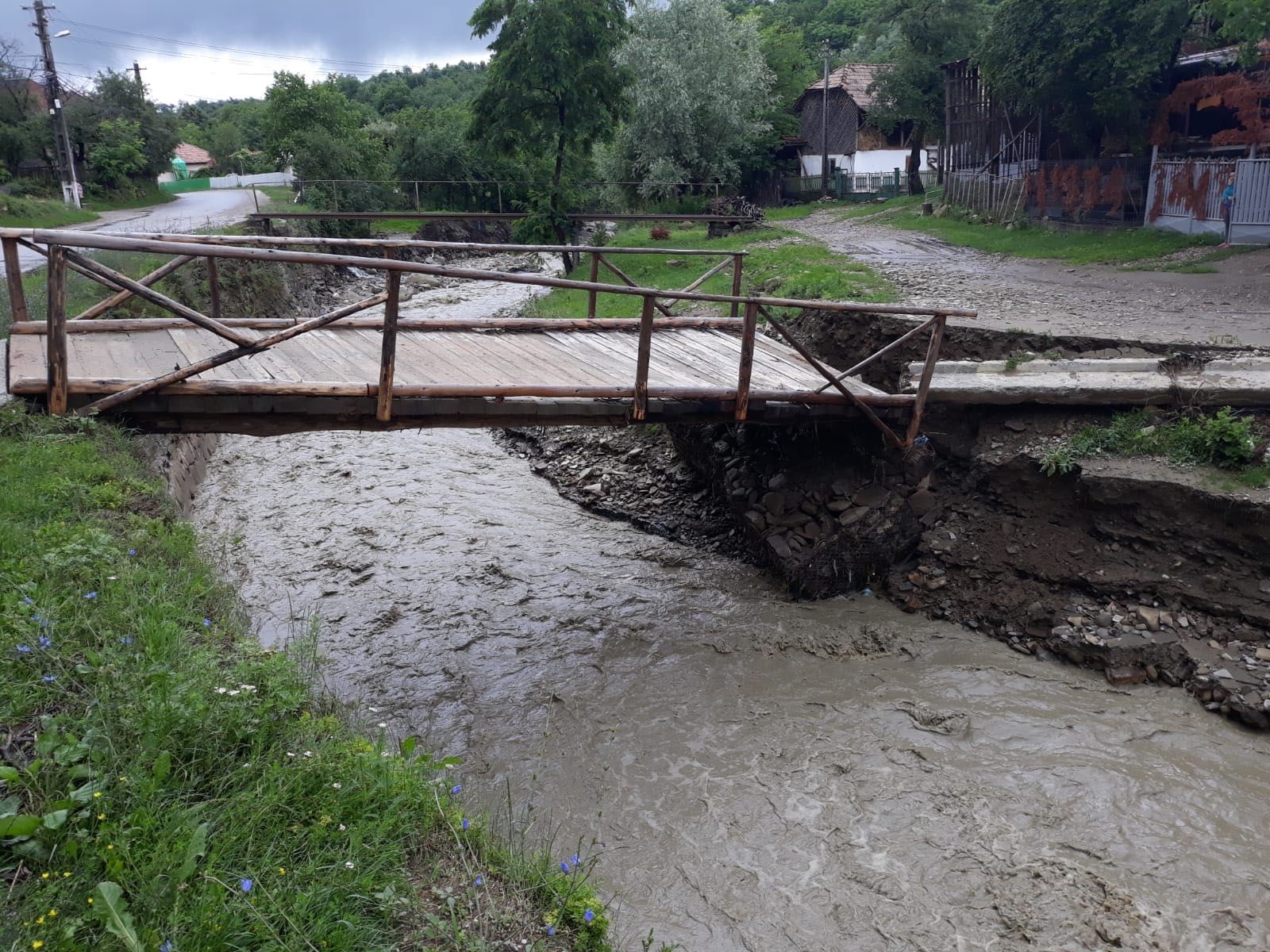 52EED5A2-A81C-473E-A054-0A697288BF9C