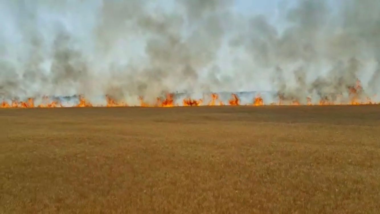 B3837C41-F002-4DB1-84D7-41E476FC6CBF