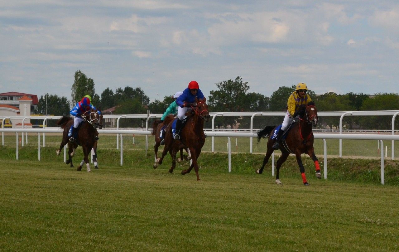 hipodrom05-1