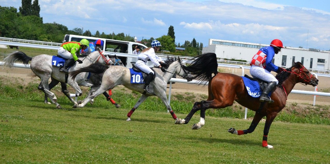hipodrom9-1