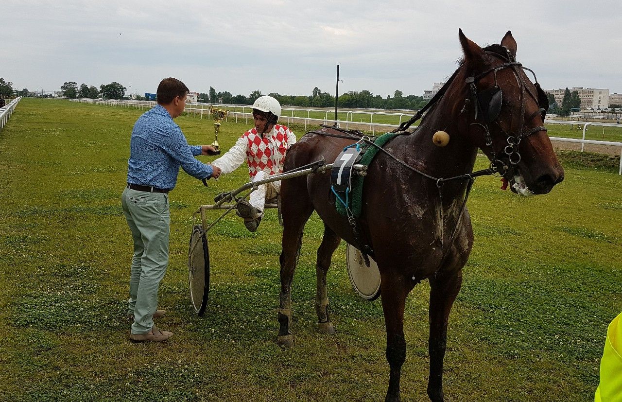 hipodromu11-1