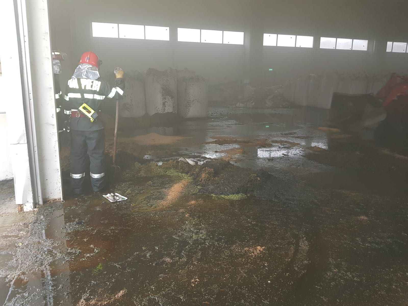 D2960BE3-D278-4B4A-B1F2-027F5317AF01