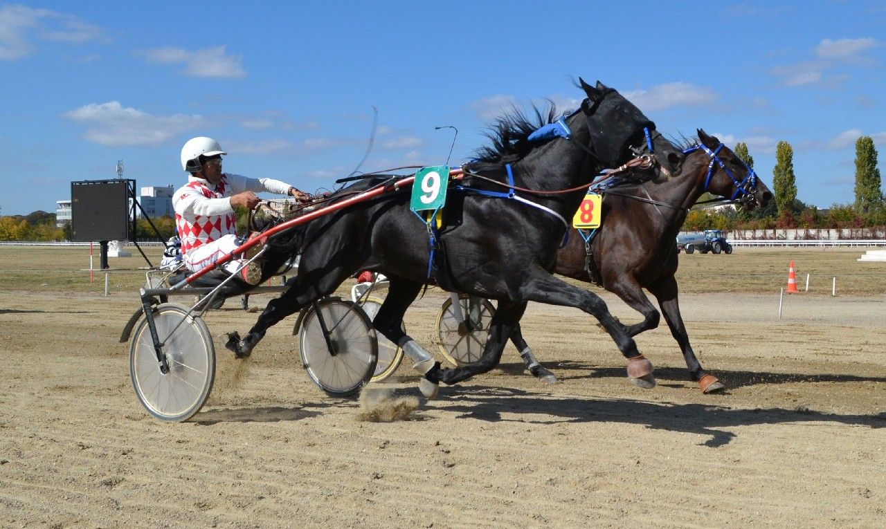 hipodrom9