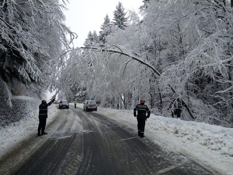 pompieri_copaci inghetati