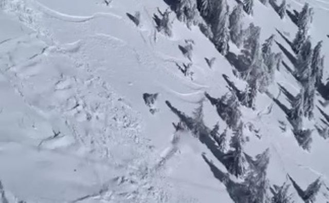 surprins_de_avalansa