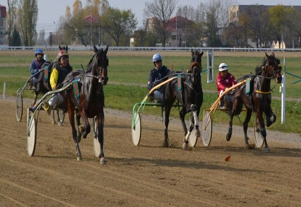 Premiul de Toamnă, main event-ul reuniunii de sâmbătă de pr Hipodromul Ploieşti