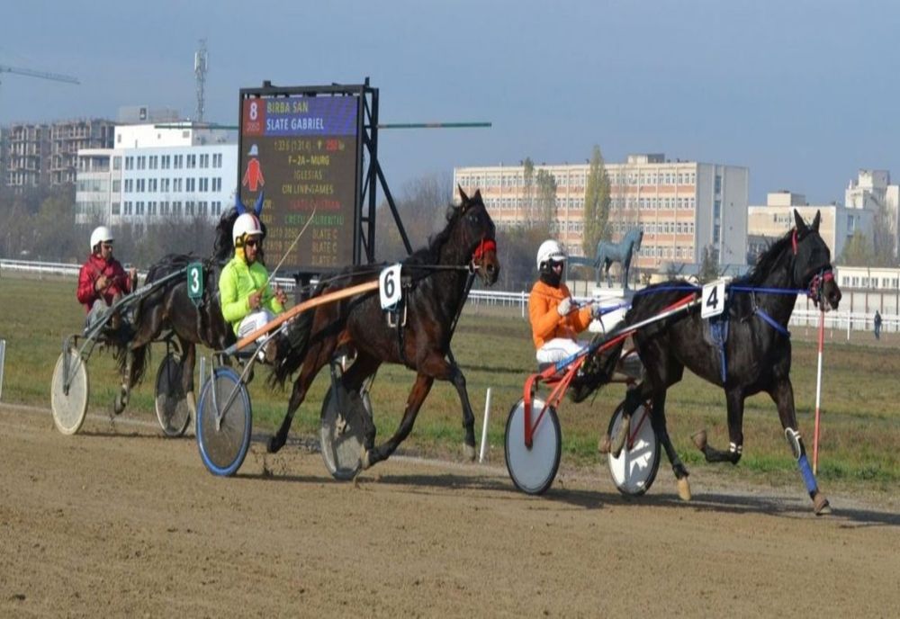 Hipodromul Ploieşti: final de sezon cu Criteriul de Fond şi Premiul de Închidere!