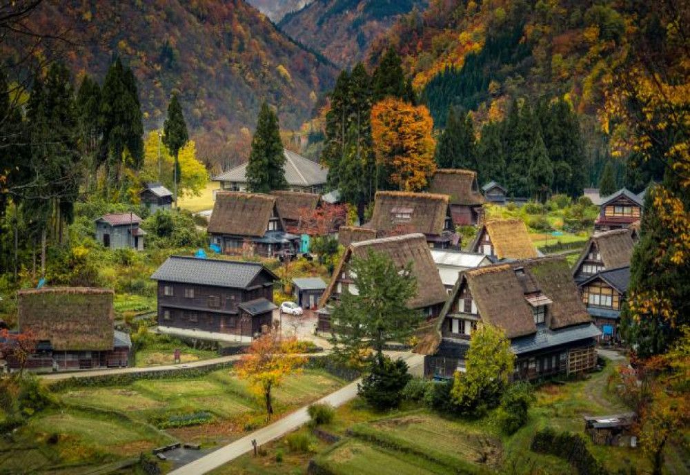 Satul în care copiii au fost înlocuiți de păpuși. De ce nu mai există familii tinere în regiune