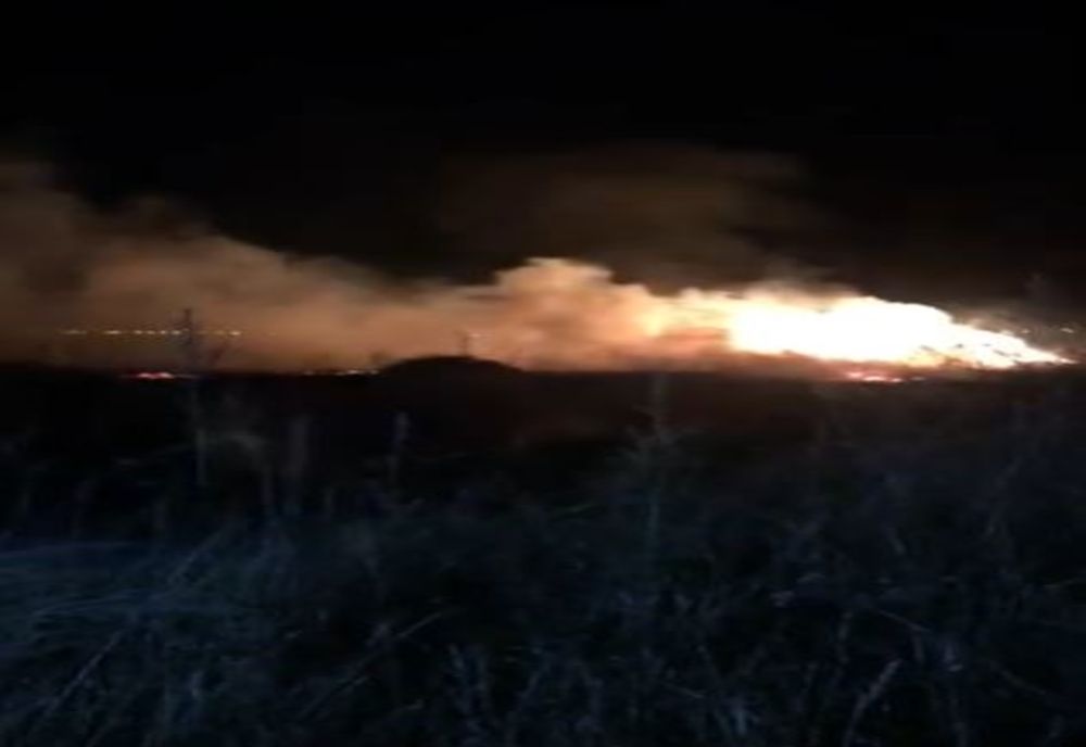 Incendii violente de vegetație uscată în Prahova. 210 hectare afectate de flăcări 