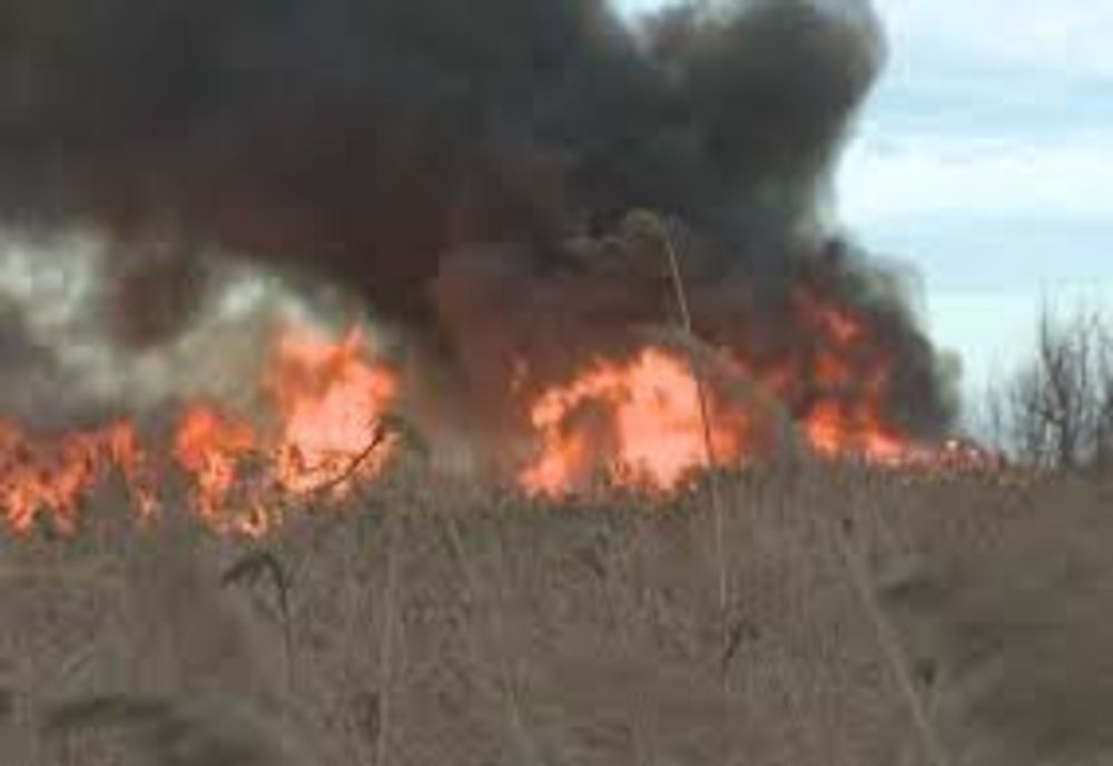 Ard mai multe câmpurile în Prahova