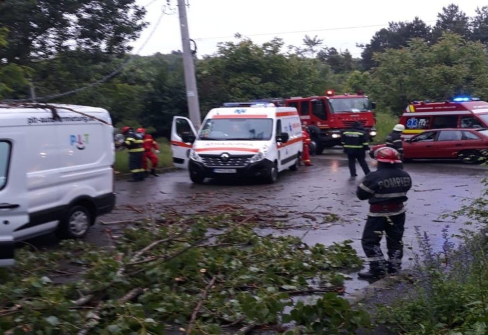 Copac picat peste un autoturism cu două persoane la Câmpina