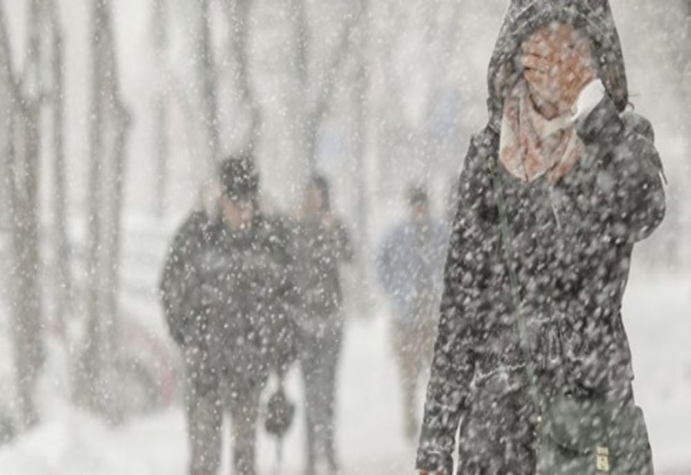 Cod portocaliu de ninsori în zona montană a județului Prahova