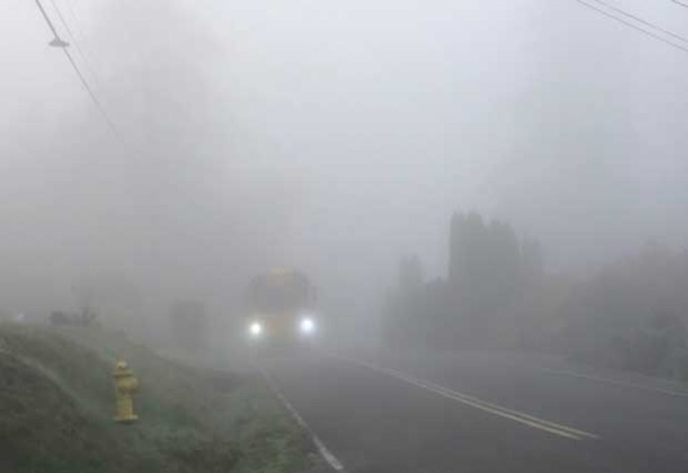 Cod galben de ceață în Prahova. Informare meteo de ninsori, vânt și răcire accentuată a vremii