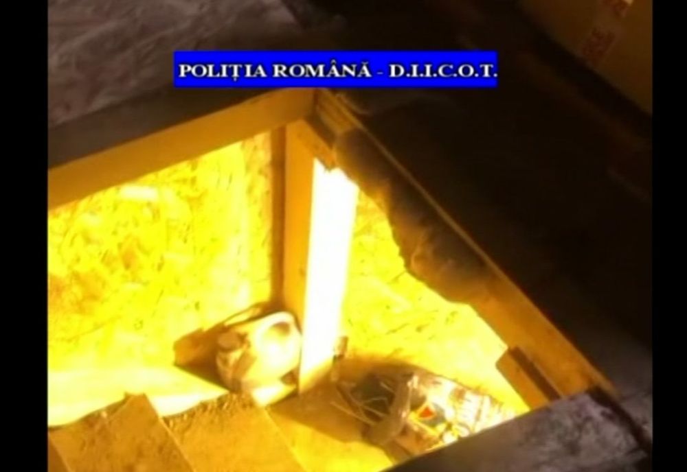 Percheziții la un bărbat care cultiva cannabis în subsolul unei anexe în Satu Mare. Drogurile erau vândute inclusiv în Prahova