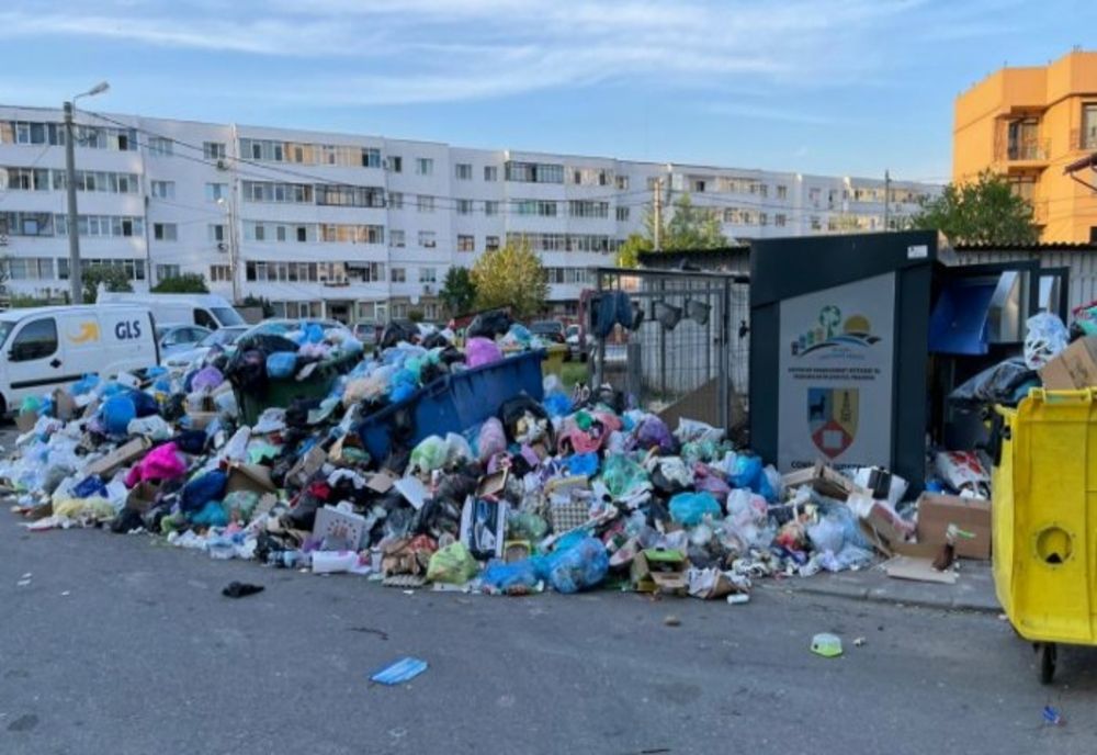Primarul Ploieștiului cere declararea stării de alertă din cauza gunoaielor şi a focarelor de infecţie