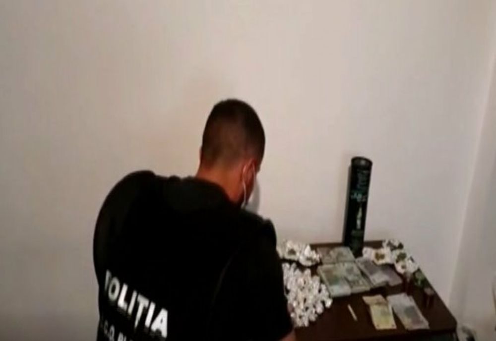 Percheziții în Prahova, la suspecți de trafic de cannabis. 65 de persoane, duse la audieri