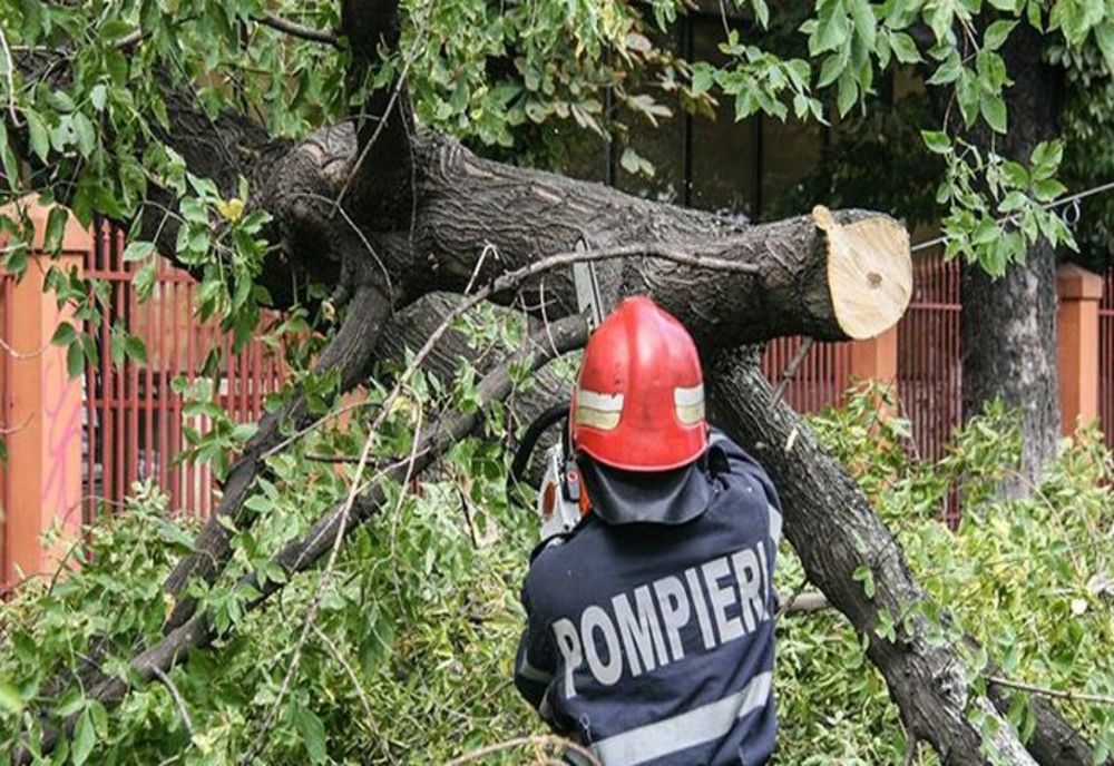 PRAHOVA: Peste 1.000 de consumatori nealimentați cu energie electrică, în urma vijeliilor