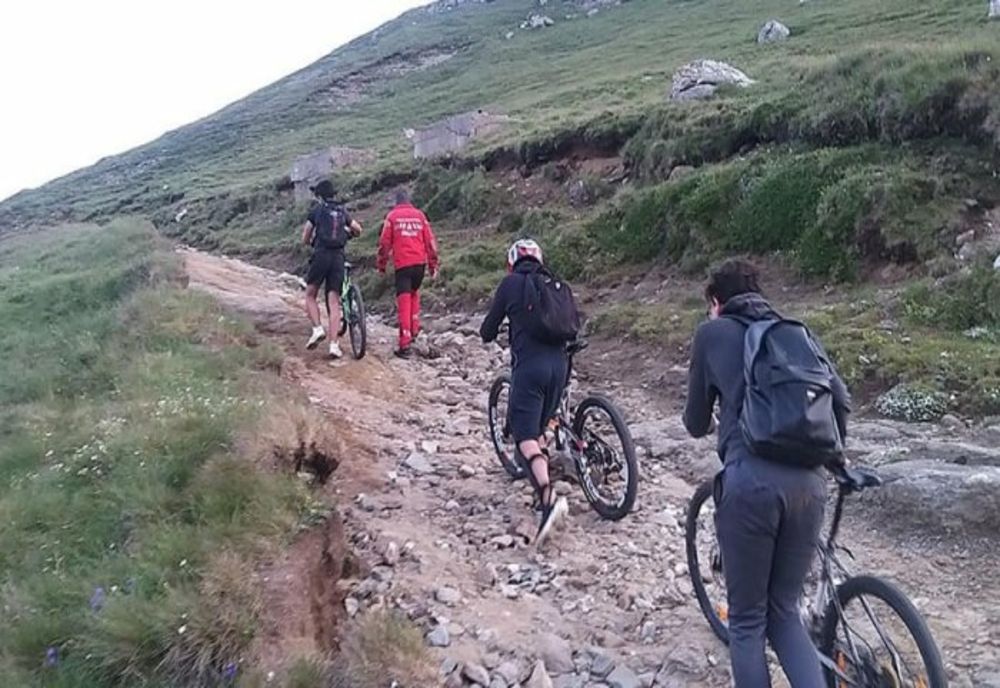 Prahova. Trei tineri au fost atacați de câini de stână pe Jepii Mici